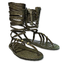 Elaborate Sandals