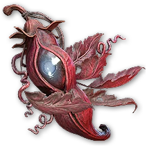 Spiteful Floret