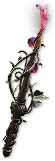 Lifesprig