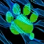 Polymorphed