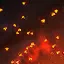 Fire Swarm